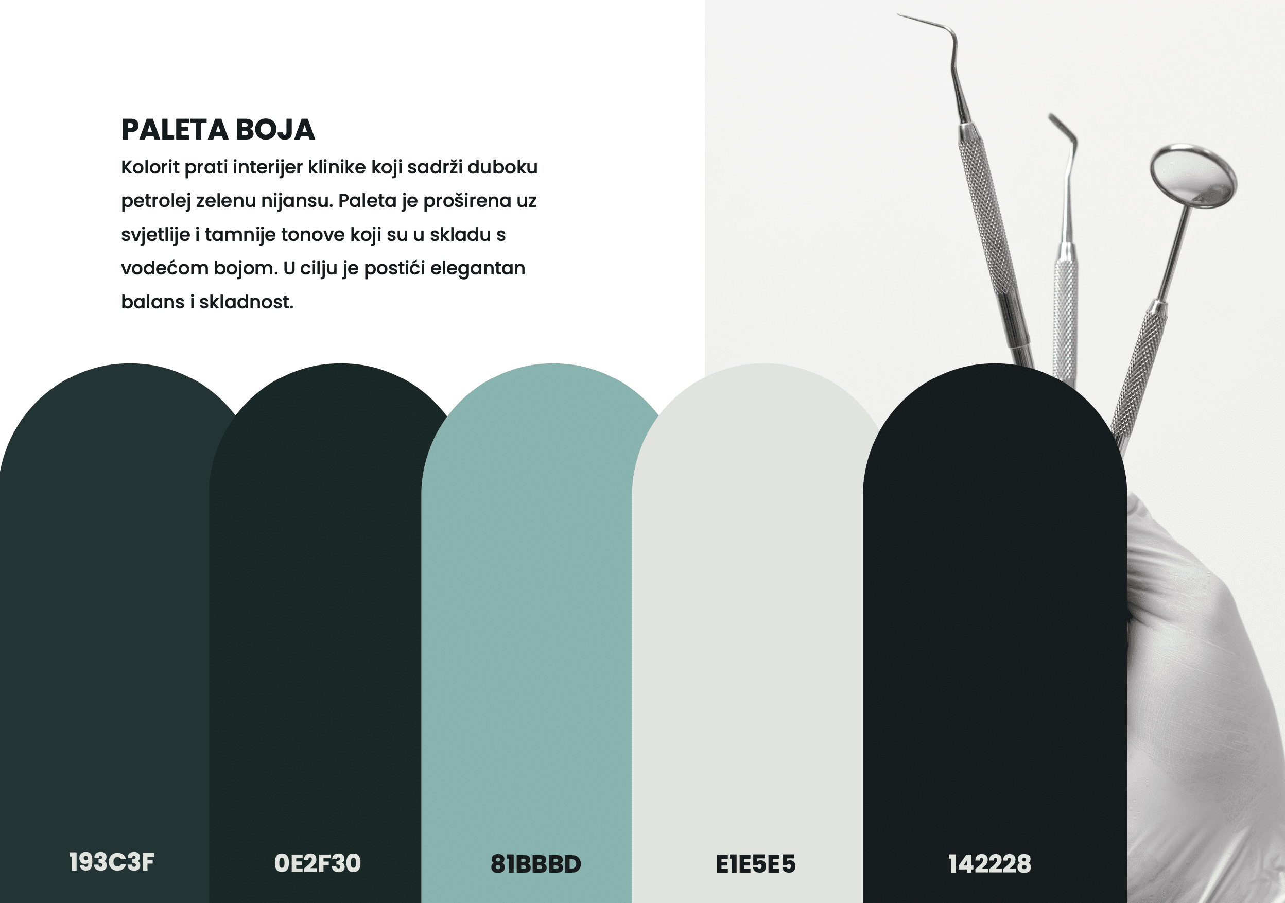 Paleta boja odabrana za brend dentalne klinike