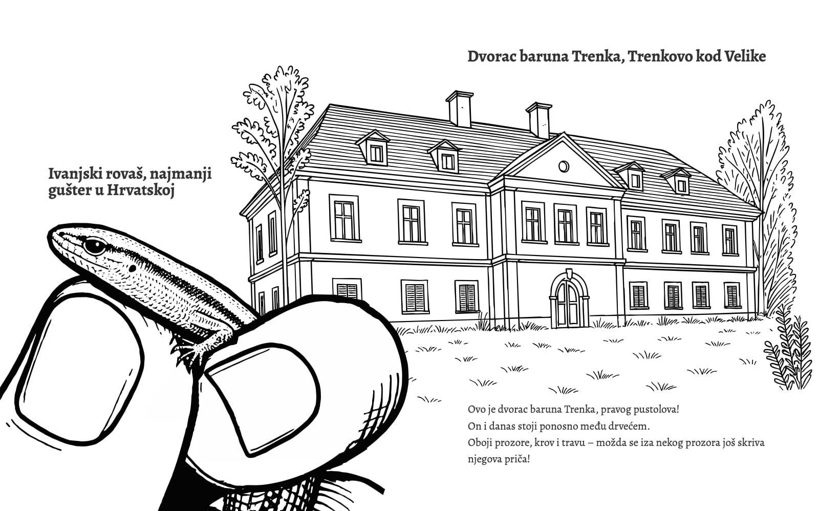 Stranica bojanke: dvorac baruna Trenka u Trenkovu i ivanjski rova&scaron;, najmanji gu&scaron;ter u Hrvatskoj