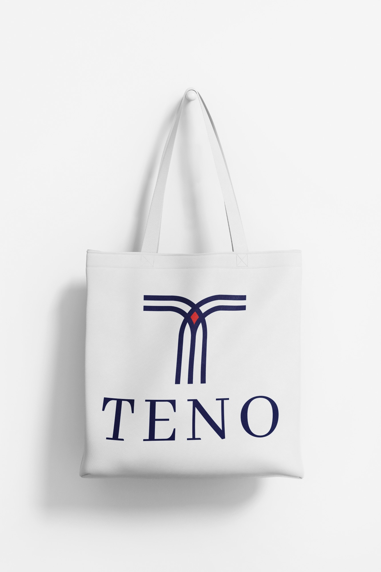TENO logotip na platnenoj torbi